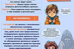 УВД по САО просит родителей уберечь несовершеннолетних детей от мошеннических действий