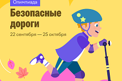 В Северном административном округе продолжается онлайн-проект по безопасности на дорогах