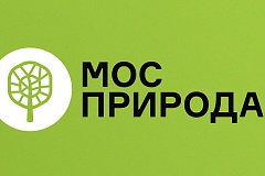 Памятка о правилах поведения при встрече с лисой